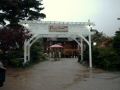 gate pine 11.jpg